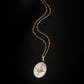 North Star Shell Pendant Necklace [Pre-order item]
