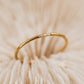 Elegant and delicate ring 2 styles 3 colors [Pre-order item]